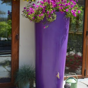 Big City Water Butt Planter - Purple