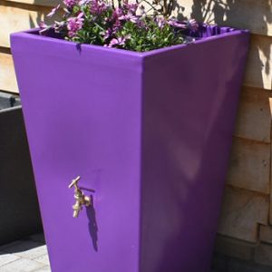 Cambridge Water Butt Planter - Purple